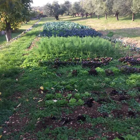 Casa Rosa Çiftlik konaklama