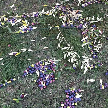 Casa Rosa Vakantieboerderij