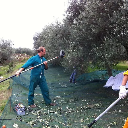 Vakantieboerderij Casa Rosa *