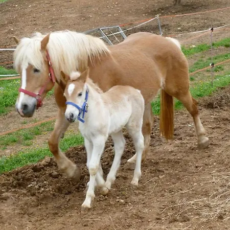 Casa Rosa Séjour à la ferme *