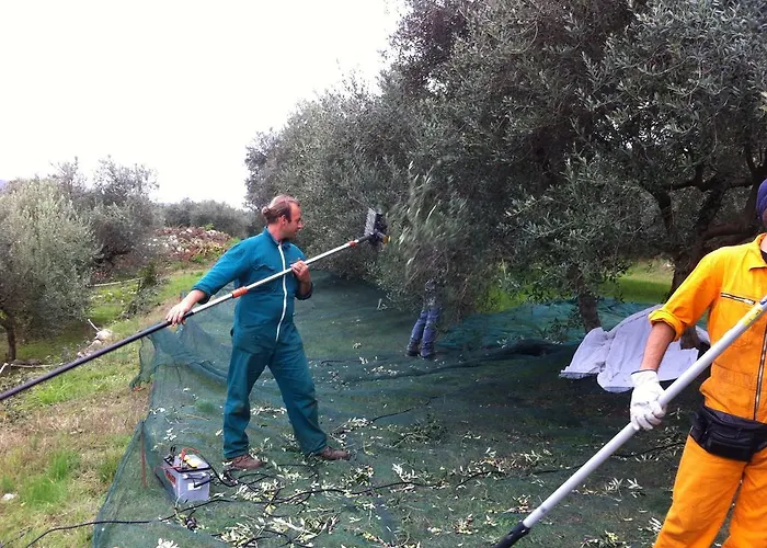 Farma Casa Rosa *